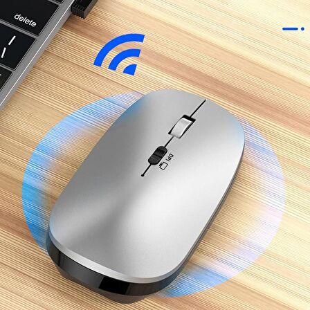 Torima TM-14 Ergonomik Sessiz Kablosuz Gümüş Optik Mouse