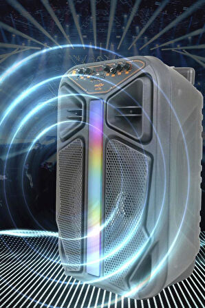 Torima GTS-1846 Işıklı Mikrofonlu Kumandalı Tekerlekli Bluetooth Hoparlör Siyah