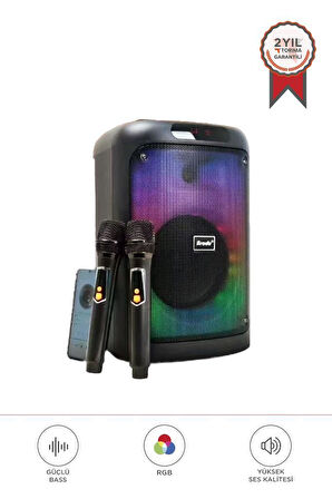 Torima BTS-2102 33 W  Karaoke Subwoofer Çift mikrofonlu Taşınabilir 3000 mAh Akıllı Bluetooth Hoparlör 