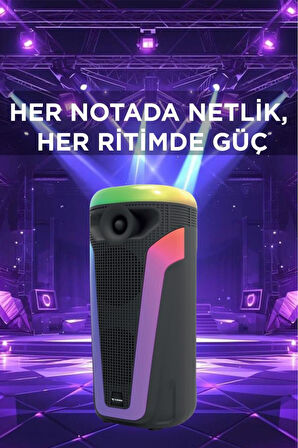 D69 Siyah RGB Ledli Kablosuz Mikrofonlu Radyolu Taşınabilir Bluetooth Hoparlör Parti Speaker