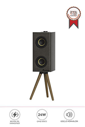 Torima D67 Gri Kablosuz Hoparlör 24W Çift Sürücü, 3000mAh Batarya, Taşınabilir Ayaklı Speaker