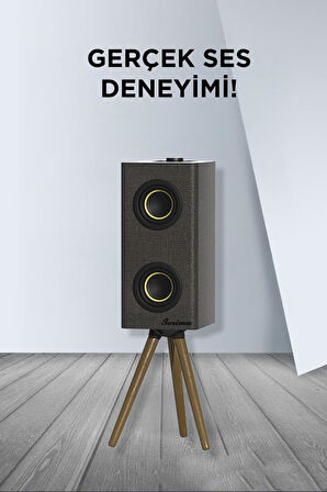 Torima D67 Gri Kablosuz Hoparlör 24W Çift Sürücü, 3000mAh Batarya, Taşınabilir Ayaklı Speaker