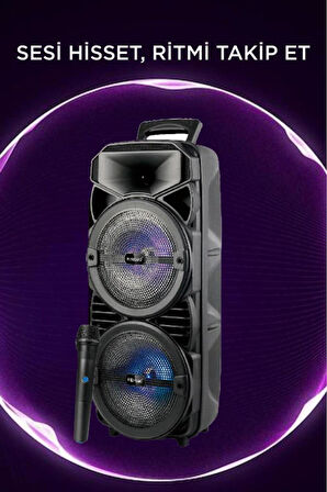 2411 Kablosuz Mikrofonlu 5.0 Bluetooth Hoparlör Fm Radyo Parti Speaker