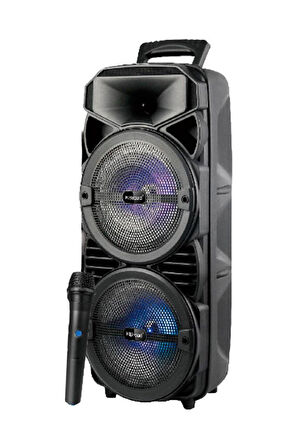 2411 Kablosuz Mikrofonlu 5.0 Bluetooth Hoparlör Fm Radyo Parti Speaker