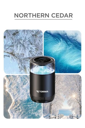 Araç İçi Aroma Difüzörü TCF20 Northern Cedar Yedek Koku Kartuşu (TCF01 Uyumludur)
