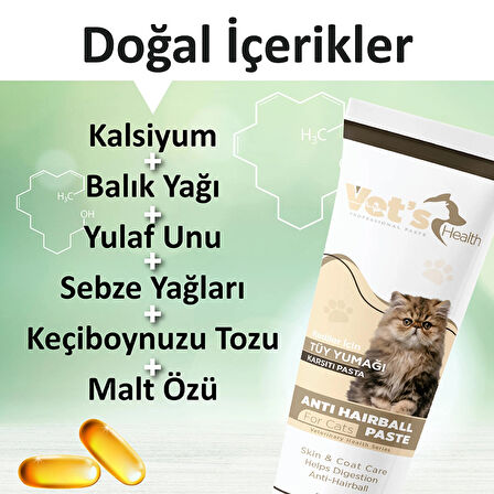 Multi Vitamin Paste Kedi Ve Köpekler Için Vitamin Desteği Pasta 100g