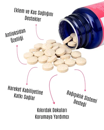 Kedi Köpek Eklem Sağlığı, Kas ve Kıkırdak Destekleyici - Glukozamin, Kondroitin, MSM Tablet 75 Adet