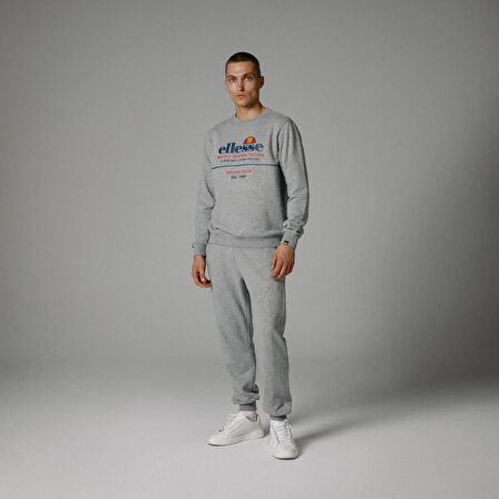 Ellesse Bisiklet Yaka Sweatshirt Gri Erkek EM273