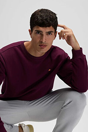 Ellesse Erkek Sweatshirt EM579-BRD