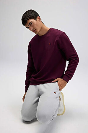 Ellesse Erkek Sweatshirt EM579-BRD