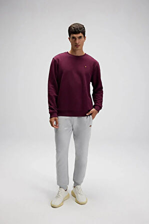 Ellesse Erkek Sweatshirt EM579-BRD