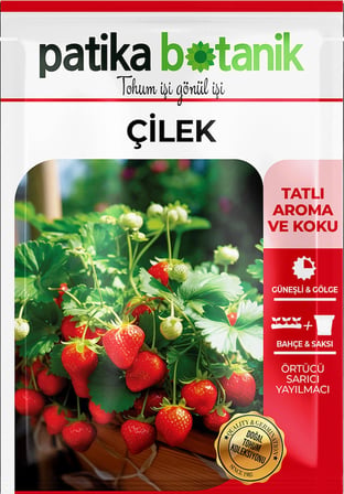 100 Adet Sarmaşık Çilek Tohumu