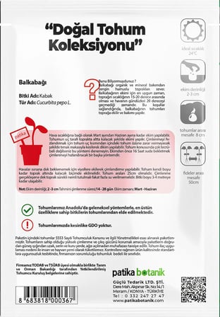 15 Adet Bal Kabağı Tohumu (Turuncu Etli)