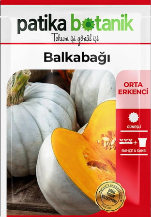 15 Adet Bal Kabağı Tohumu (Turuncu Etli)