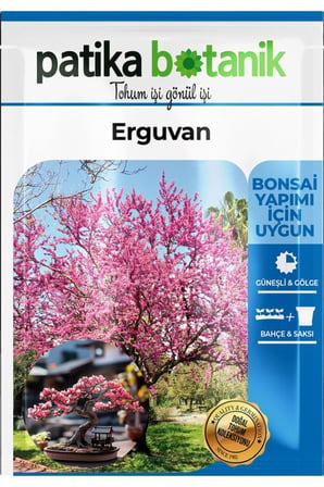 10 Adet Erguvan Ağaç Tohumu