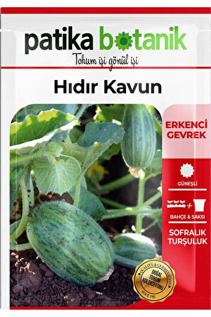 20 Adet Hıdır Kavun Tohumu