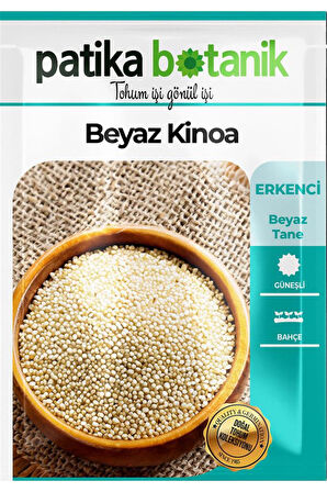 100 Adet Beyaz Kinoa Tohumu
