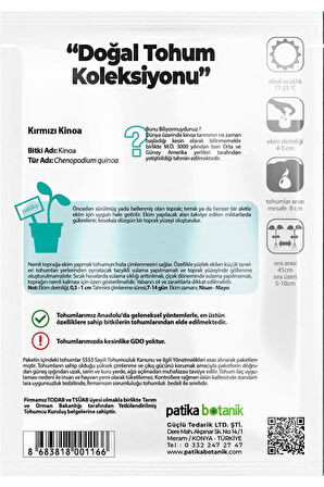 100 Adet Kırmızı Kinoa Tohumu