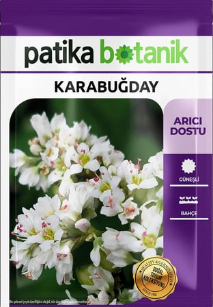 100 Adet Karabuğday Tohumu