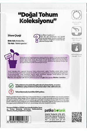 30 Adet Sitare Çiçeği Tohumu