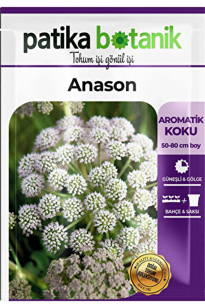 100 Adet Anason Tohumu