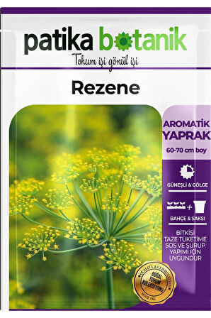100 Adet Rezene Tohumu