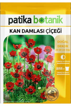 20 Adet Kan Damlası Çiçeği Tohumu (Adonis Aestvialis)