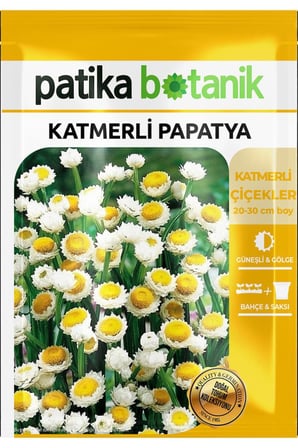 30 Adet Katmerli Papatya Çiçek Tohumu (Ammobium Alatum)