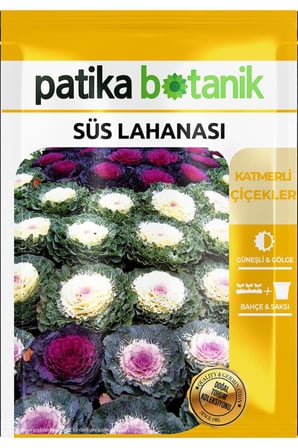 20 Adet Süs Lahanası Çiçek Tohumu (Brassica Oleracea Dwarf Mixed)