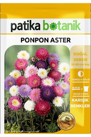 30 Adet Ponpon Aster Çiçek Tohumu (Callistephus Tall Pompon)