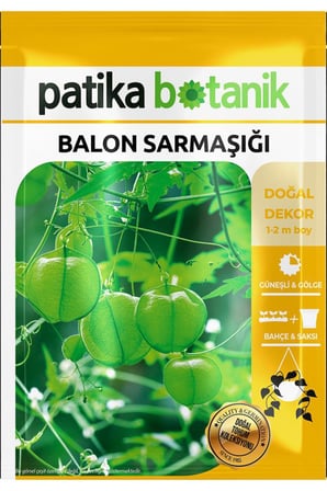 5 Adet Balon Sarmaşığı Çiçek Tohumu (Cardiospermum)