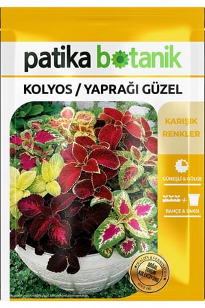 100 Adet Kolyos / Yaprağı Güzel Çiçek Tohumu (Coleus Blumei)