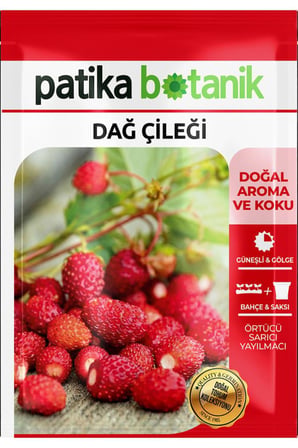 100 Adet Dağ Çileği Tohumu
