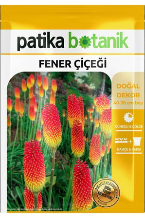 50 Adet Fener Çiçeği Tohumu (Kniphoöa)