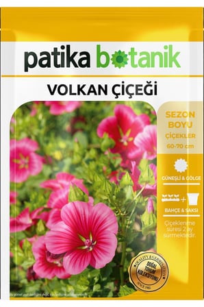 5 Adet Volkan Çiçeği Tohumu (Malope Trifıda)