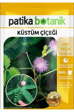 50 Adet Küstüm Çiçeği Tohumu (Mimosa Pudica)