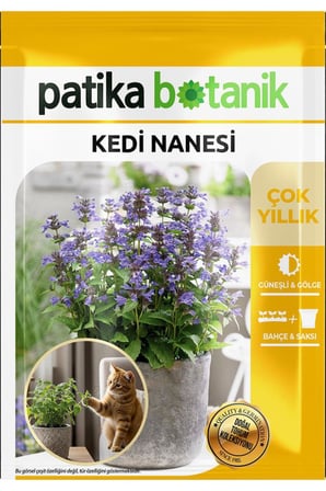 100 Adet Kedi Nanesi Çiçek Tohumu (Nepeta Mussini)