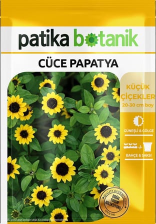 100 Adet Cüce Papatya Çiçek Tohumu (Sanvitalia Procumbens)
