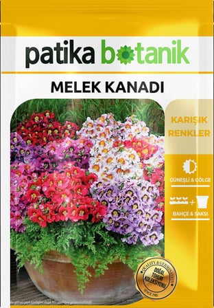 100 Adet Melek Kanadı Çiçek Tohumu (Schizanthus x Wisetonensis)