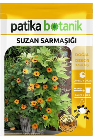 5 Adet Suzan Sarmaşığı Çiçek Tohumu (Thunbergia Alata)