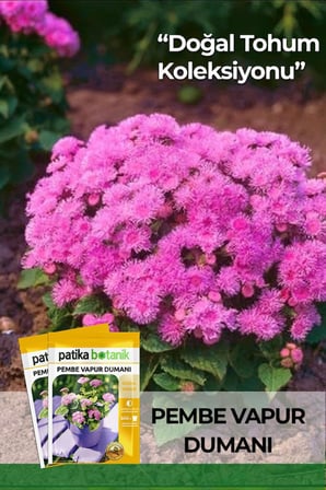 100 Adet Pembe Vapur Dumanı Çiçek Tohumu (Ageratum Mexicanum Dwarf Ball)