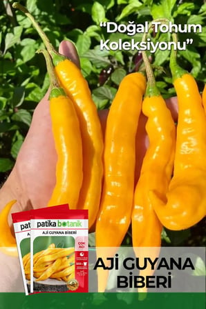 20 Adet Aji Guyana Biber Tohumu (Çok Acı)