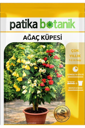 30 Adet Ağaç Küpesi Çiçek Tohumu (Abutilon Hybridum)