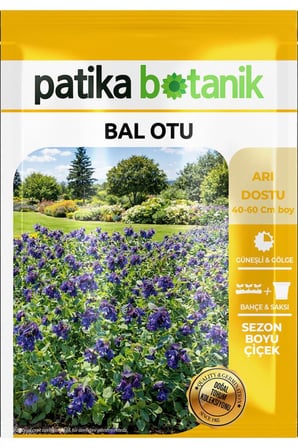 10 Adet Bal Otu Tohumu (Cerinthe major ssp. purpurascens)