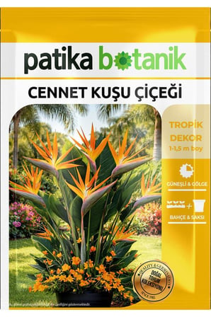 3 Adet Cennet Kuşu Çiçeği Tohumu (Strelitzia Reginae)