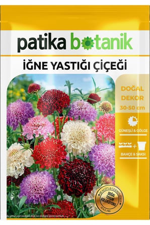 30 Adet İğne Yastığı Çiçeği Tohumu (Scabiosa Atropurpurea)