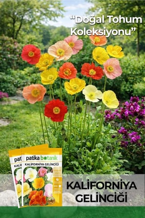 100 Adet Kaliforniya Gelinciği Çiçek Tohumu (Eschscholzia californica)