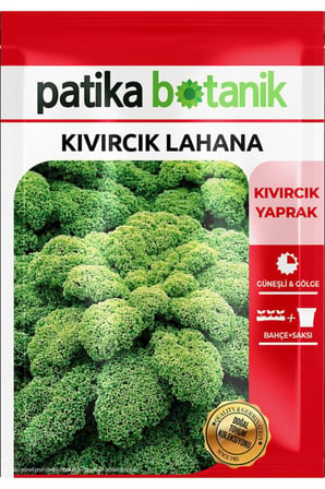 50 Adet Kıvırcık Lahana Tohumu
