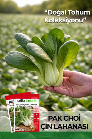 100 Adet Pak Choi / Çin Lahanası Tohumu