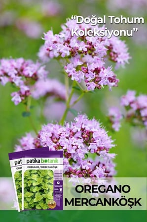 100 Adet Oregano / Mercanköşk Bitkisi Tohumu (Origanum vulgare)